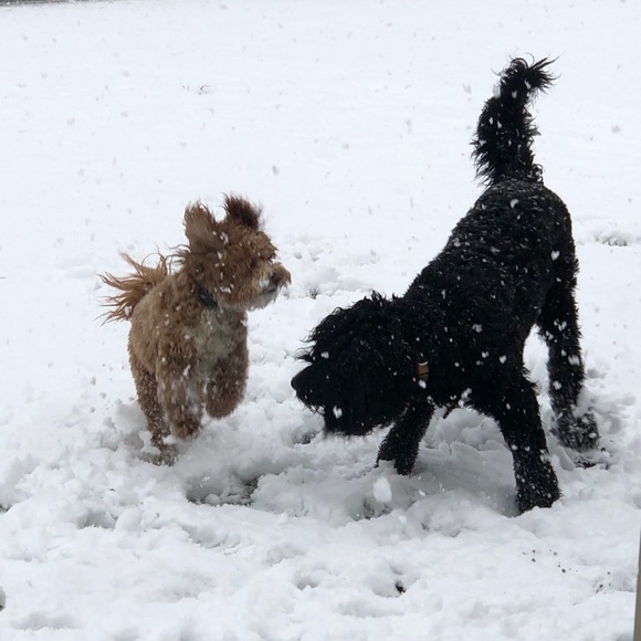 (0-24W; XS-4X) 25% Off ALL Bundles - Picture 12 of 13